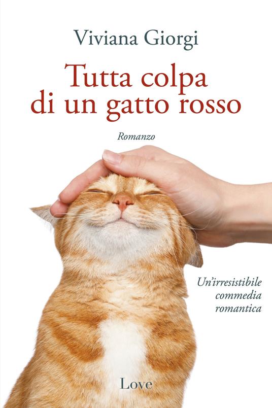 Tutta colpa di un gatto rosso - Viviana Giorgi - copertina