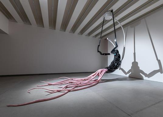 Nexaris Suite - Agnes Questionmark - 2