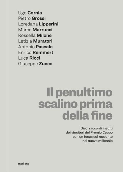 Il penultimo scalino prima della fine - copertina