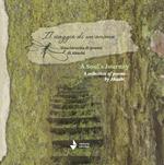 A souls journey. A collection of phoems by Akashi