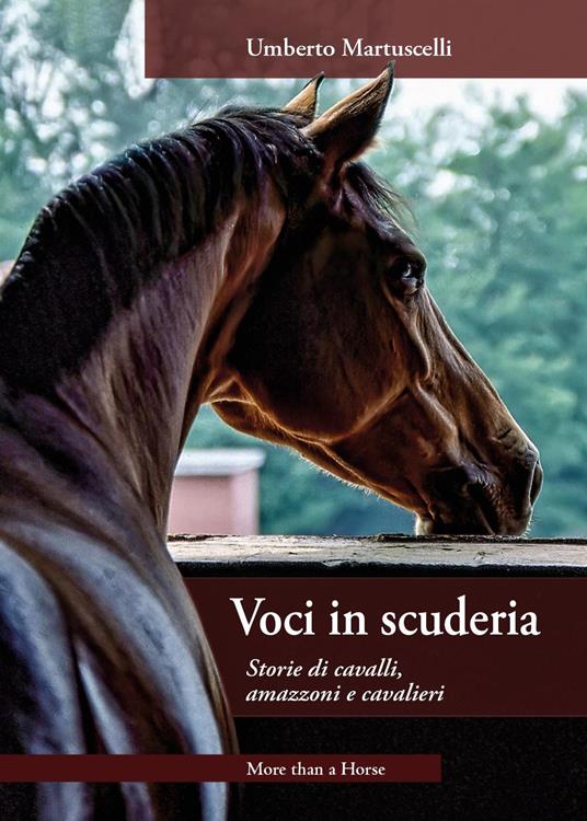 Voci in scuderia. Storie di cavalli, amazzoni e cavalieri - Umberto Martuscelli - copertina