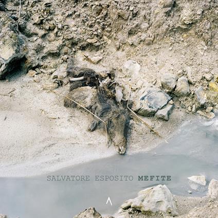 Salvatore Esposito. Mefite. Ediz. a colori - Roberto Iovinelli,Marcello De Masi,Antonello Scotto - copertina