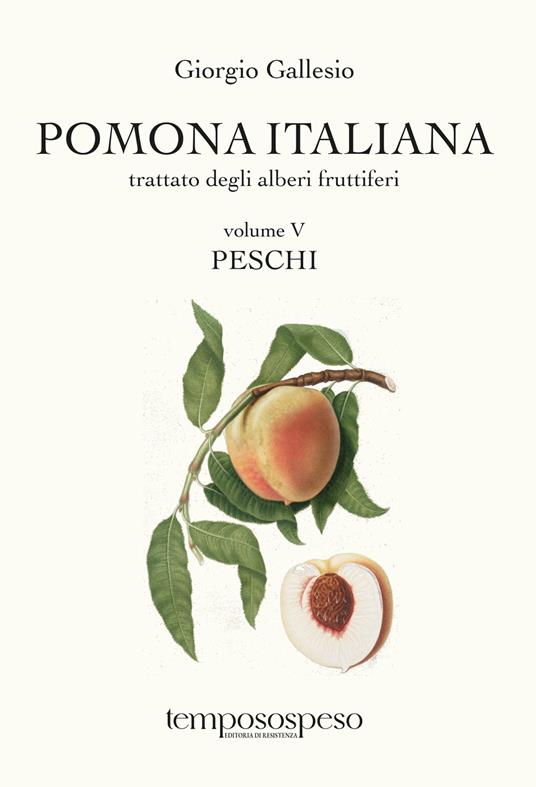 Pomona italiana. Trattato degli alberi fruttiferi. Vol. 5: Peschi - Giorgio Gallesio - copertina