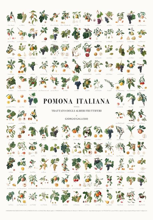 MANIFESTO DEI FRUTTI DELLA POMONA ITALIANA. Illustrazioni originali delle 142 varietà di frutta antica descritte nella Pomona Italiana di Giorgio Gallesiol. Ediz. illustrata - copertina