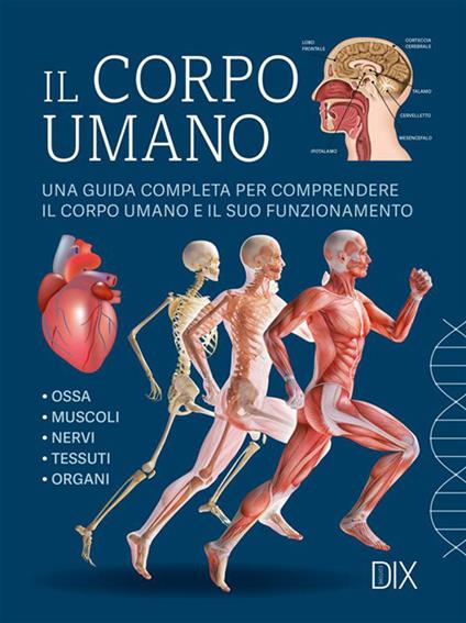 Il corpo umano. Ediz. a colori - copertina