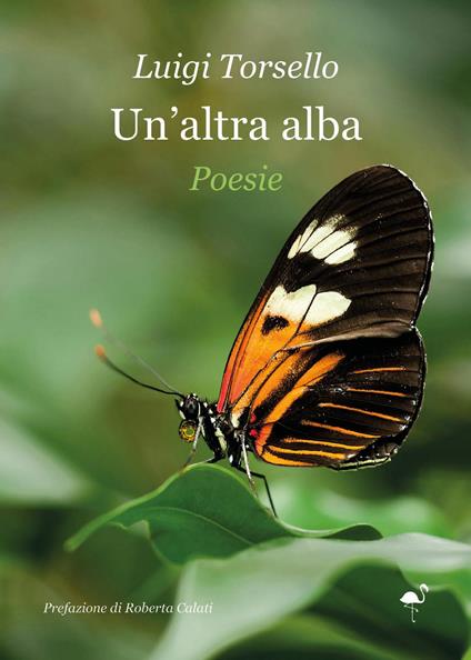 Un'altra alba - Luigi Torsello - copertina
