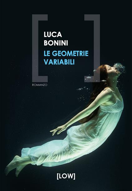 Le geometrie variabili - Luca Bonini - copertina