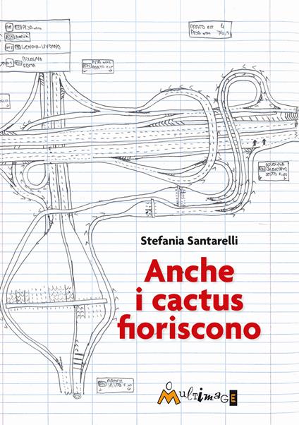 Anche i cactus fioriscono - Stefania Santarelli - copertina