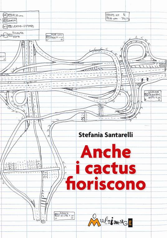 Anche i cactus fioriscono - Stefania Santarelli - copertina