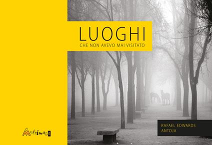 Luoghi che non avevo mai visitato. Ediz. illustrata - Rafael Edwards,Antoja - copertina