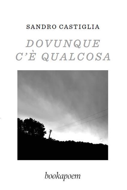 Dovunque c'è qualcosa - Sandro Castiglia - copertina