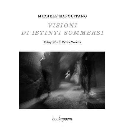 Visioni di istinti sommersi - Michele Napolitano - copertina