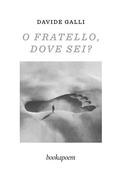 O fratello, dove sei? - Davide Galli - copertina