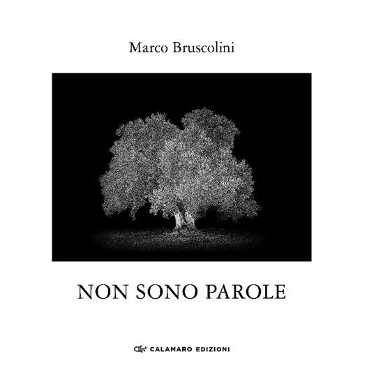 Libreria Aldrovandi