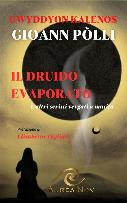 Il Druido evaporato. E altri scritti vergati a matita - Gioann Pòlli,Gwyddyon Kalenos - copertina