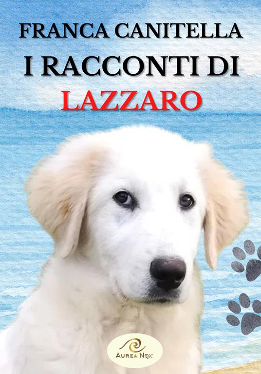 I racconti di Lazzaro - Franca Canitella - copertina