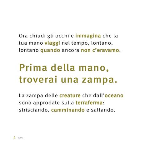 Zampa. Ediz. a colori - Francesca Matteoni - 3