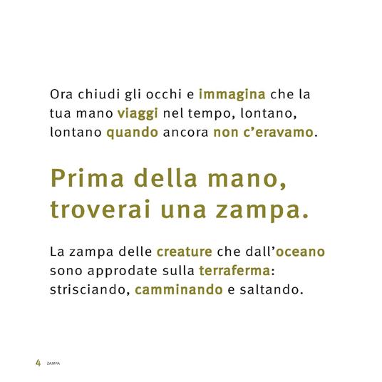 Zampa. Ediz. a colori - Francesca Matteoni - 3
