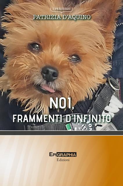 Noi, frammenti d'infinito - Patrizia D'Aquino - copertina