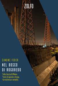 Libro Nel bosco di Rogoredo. L'altra faccia di Milano. Storie di giovani e droga, di resistenza e umanità Simone Feder
