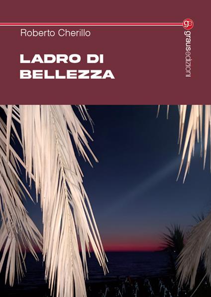 Ladro di bellezza - Roberto Cherillo - copertina