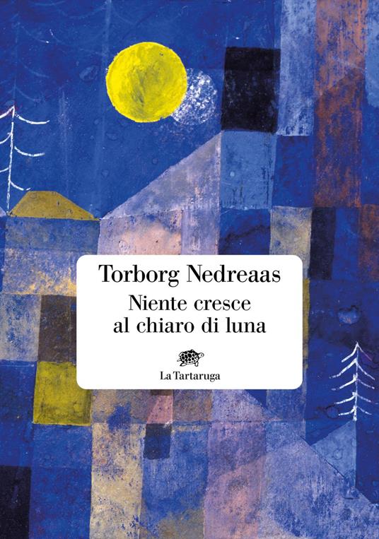 Niente cresce al chiaro di luna - Torborg Nedreaas - ebook