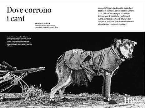 Artico. The passenger. Per esploratori del mondo - 8