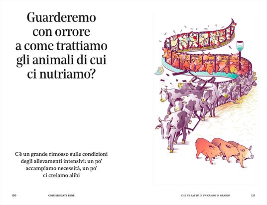 Cose spiegate bene. Che ne sai tu di un campo di grano? - 7