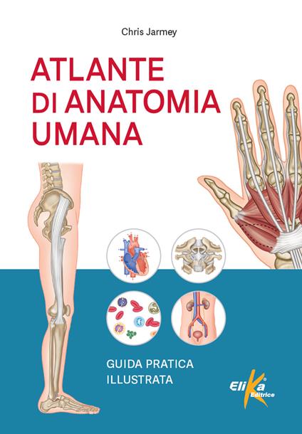 Atlante di anatomia umana. Guida pratica illustrata. Ediz. a colori - Chris Jarmey - copertina