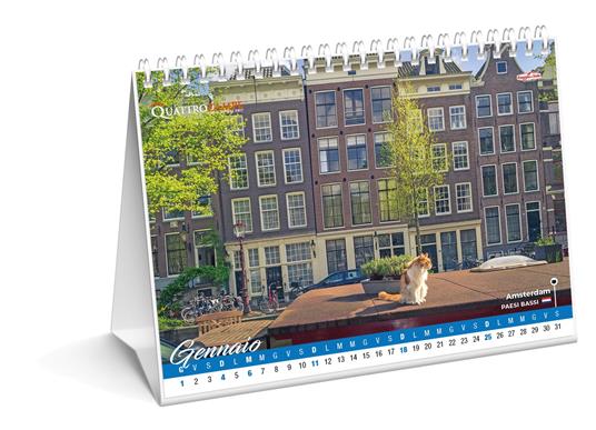 Gatti nel mondo. Calendario da tavolo 2026. 14 mesi - 2