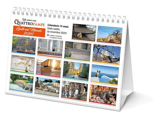 Gatti nel mondo. Calendario da tavolo 2026. 14 mesi - 3