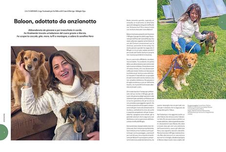 Mai più soli. Sfide contro l'abbandono. Storie vere di adozioni del cuore - 2