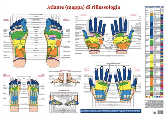 Atlante (mappa) di riflessologia - copertina