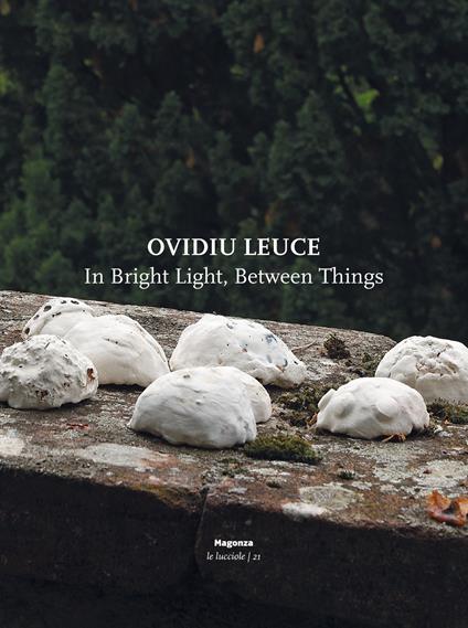 Ovidiu Leuce. In bright light, between things. Ediz. italiana e inglese - copertina