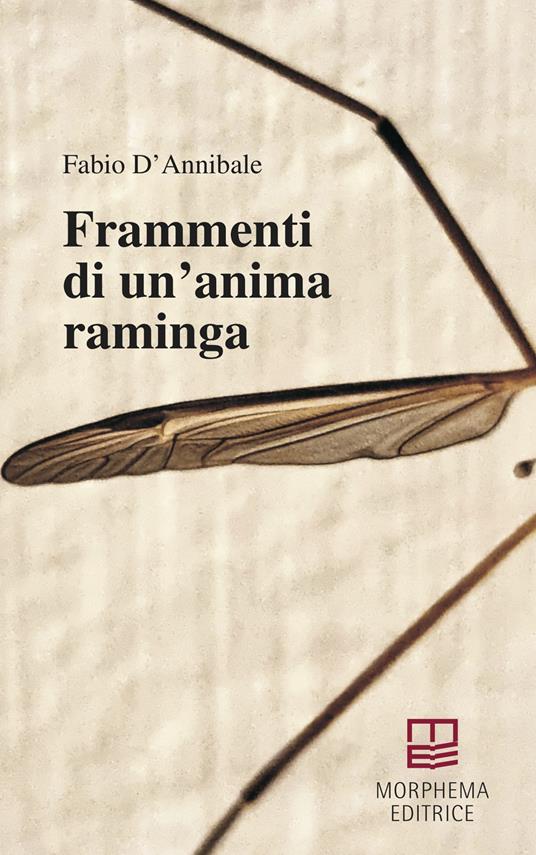 Frammenti di un'anima raminga - Fabio D'Annibale - copertina