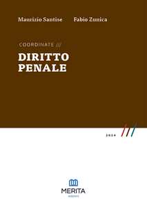 Coordinate. Diritto penale 2024