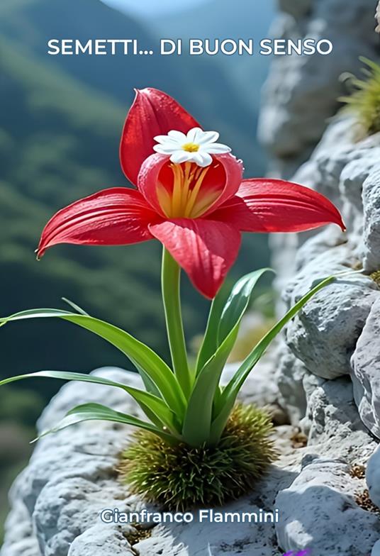 Semetti… di buon senso - Gianfranco Flammini - copertina