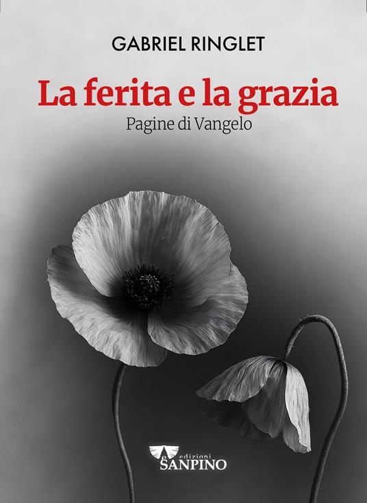 La ferita e la grazia. Pagine di Vangelo - Gabriel Ringlet - copertina