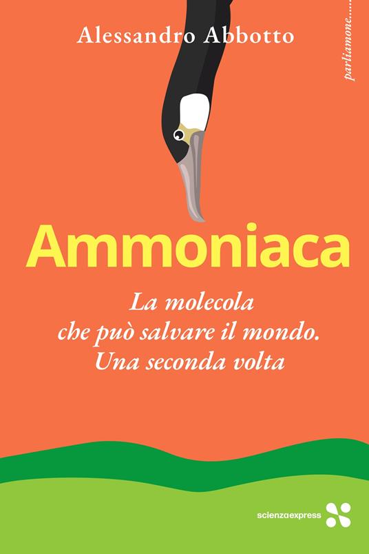 Ammoniaca - Alessandro Abbotto - copertina