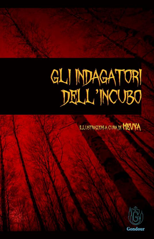 Gli indagatori dell'incubo - copertina