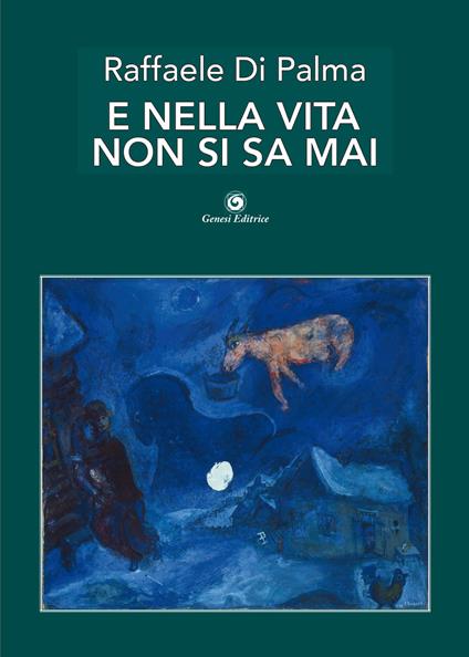 E nella vita non si sa mai - Raffaele Di Palma - copertina