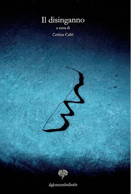 Il disinganno - copertina