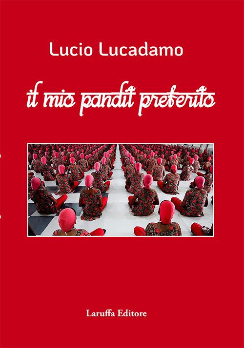 Il mio pandit preferito - Lucio Lucadamo - copertina