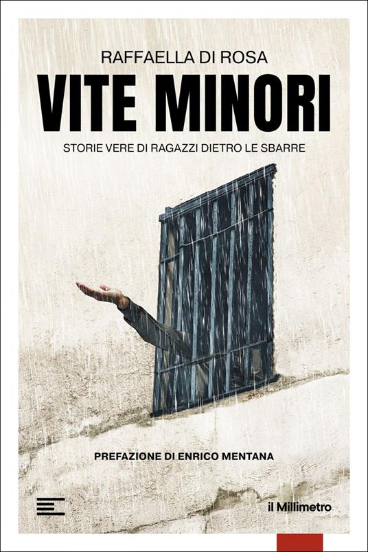 Vite minori. Storie vere di ragazzi dietro le sbarre - Raffaella Di Rosa - ebook