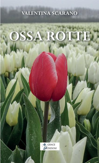 Ossa rotte - Valentina Scarano - copertina