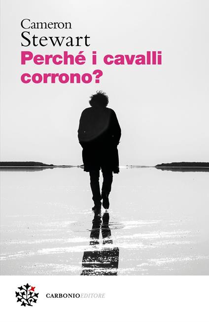 Perché i cavalli corrono? - Cameron Stewart,Barbara Ronca - ebook