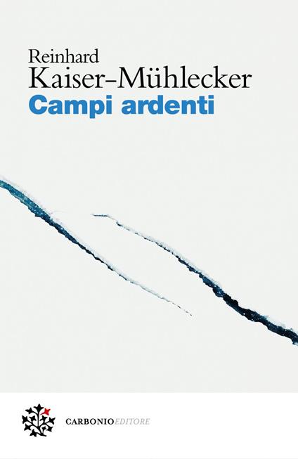 Campi ardenti - Reinhard Kaiser-Mühlecker,Alessandra Iadicicco - ebook