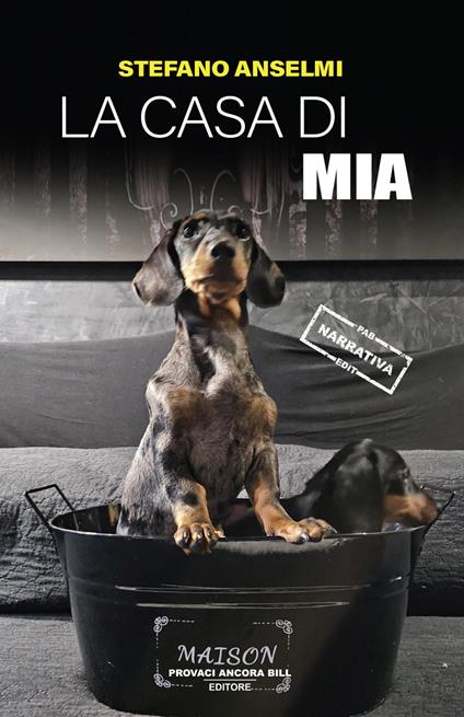 La casa di Mia - Stefano Anselmi - copertina