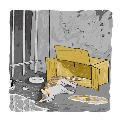 Minerva in libreria. Ediz. a colori - Dido - 2