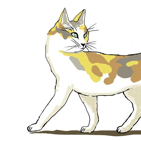 Minerva in libreria. Ediz. a colori - Dido - 3